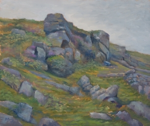 Black Rock Dartmoor