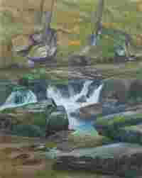 Dipper's Nest