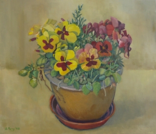Pansies