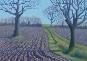 Suffolk Field