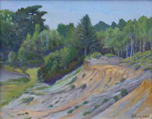 Westleton Quarry